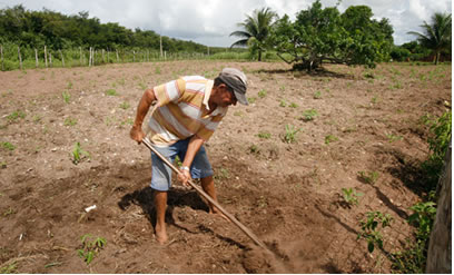 Camponês preparando a terra para a plantação